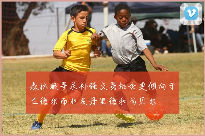 森林狼寻求补强交易机会更倾向于兰德尔而非麦丹里德和戈贝尔